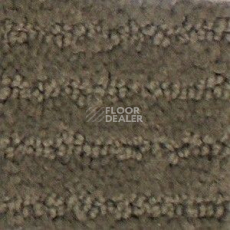 Ковролин Radici Painstripe Gardamomo 1305 фото 1 | FLOORDEALER